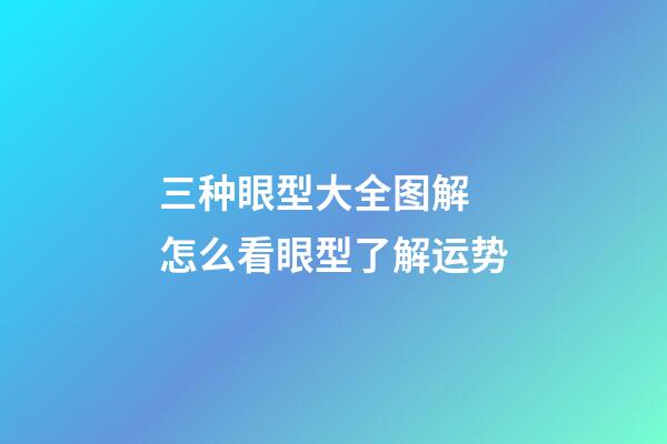 三种眼型大全图解 怎么看眼型了解运势